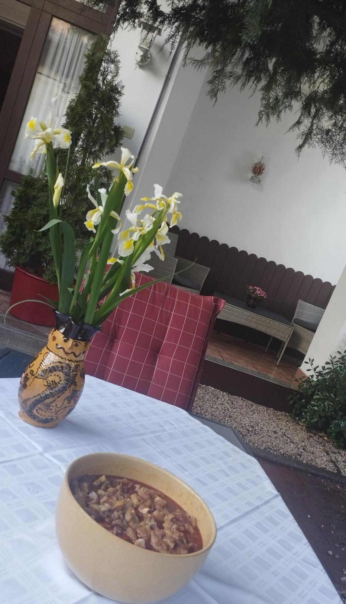 Erzsebet Vendeghaz Es Apartman Hajduszoboszlo Ngoại thất bức ảnh
